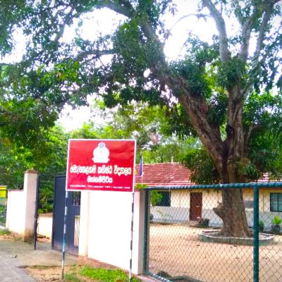 පින්තූර  2024